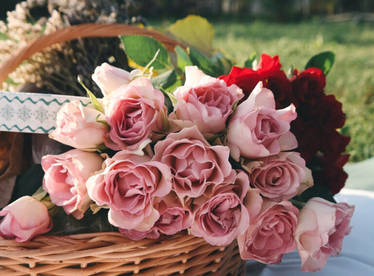 Ardent Love Bouquet with Pink Roses, Pink Gerbera Daisies, Pink