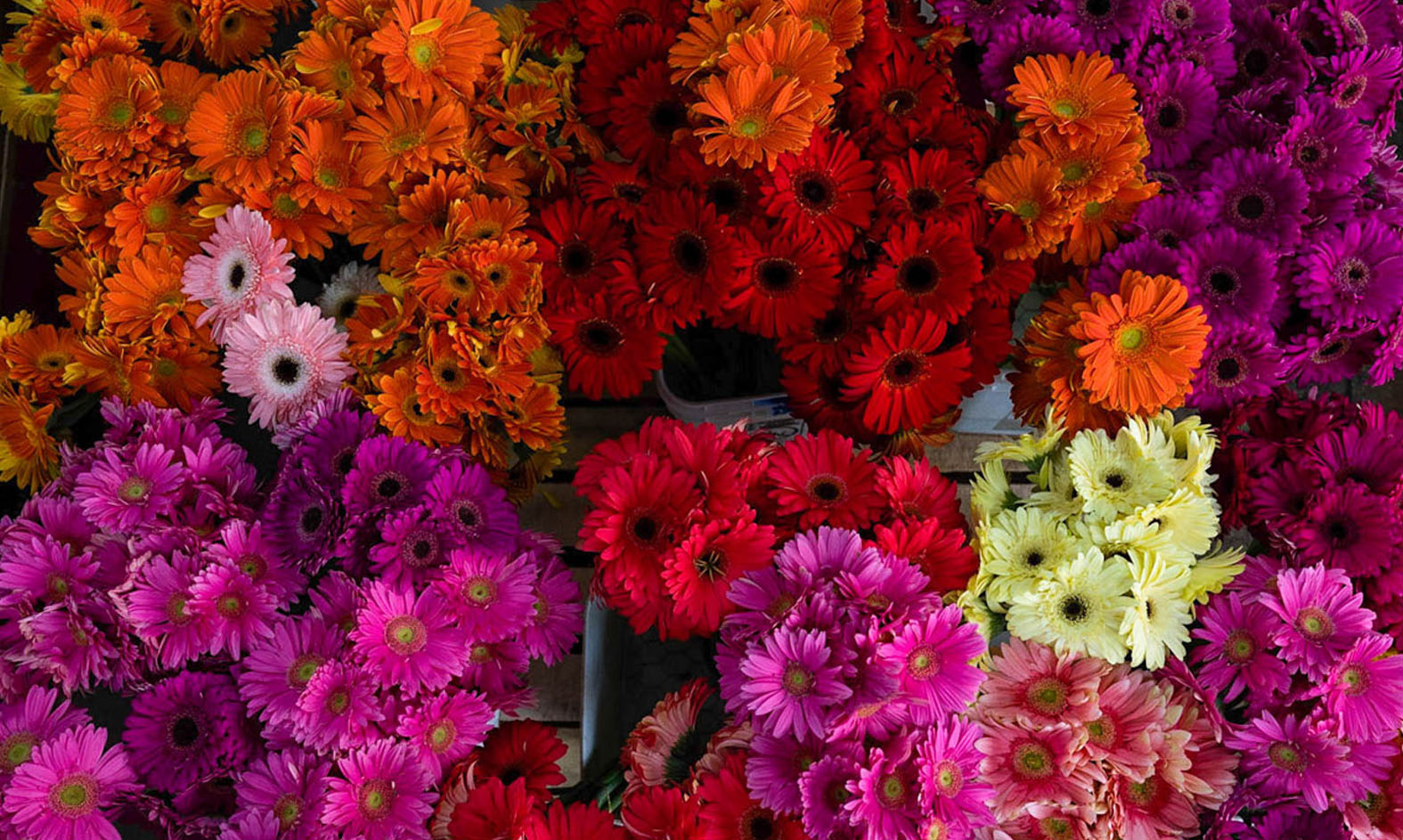 california flower mall flower arrangement basket